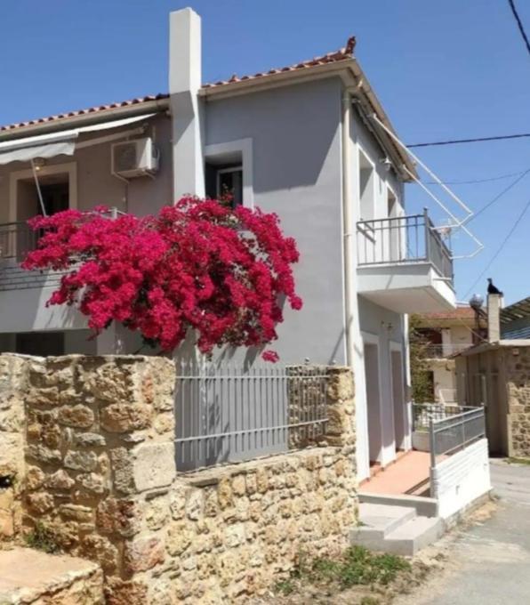 Artemis House Daire Krokees Dış mekan fotoğraf